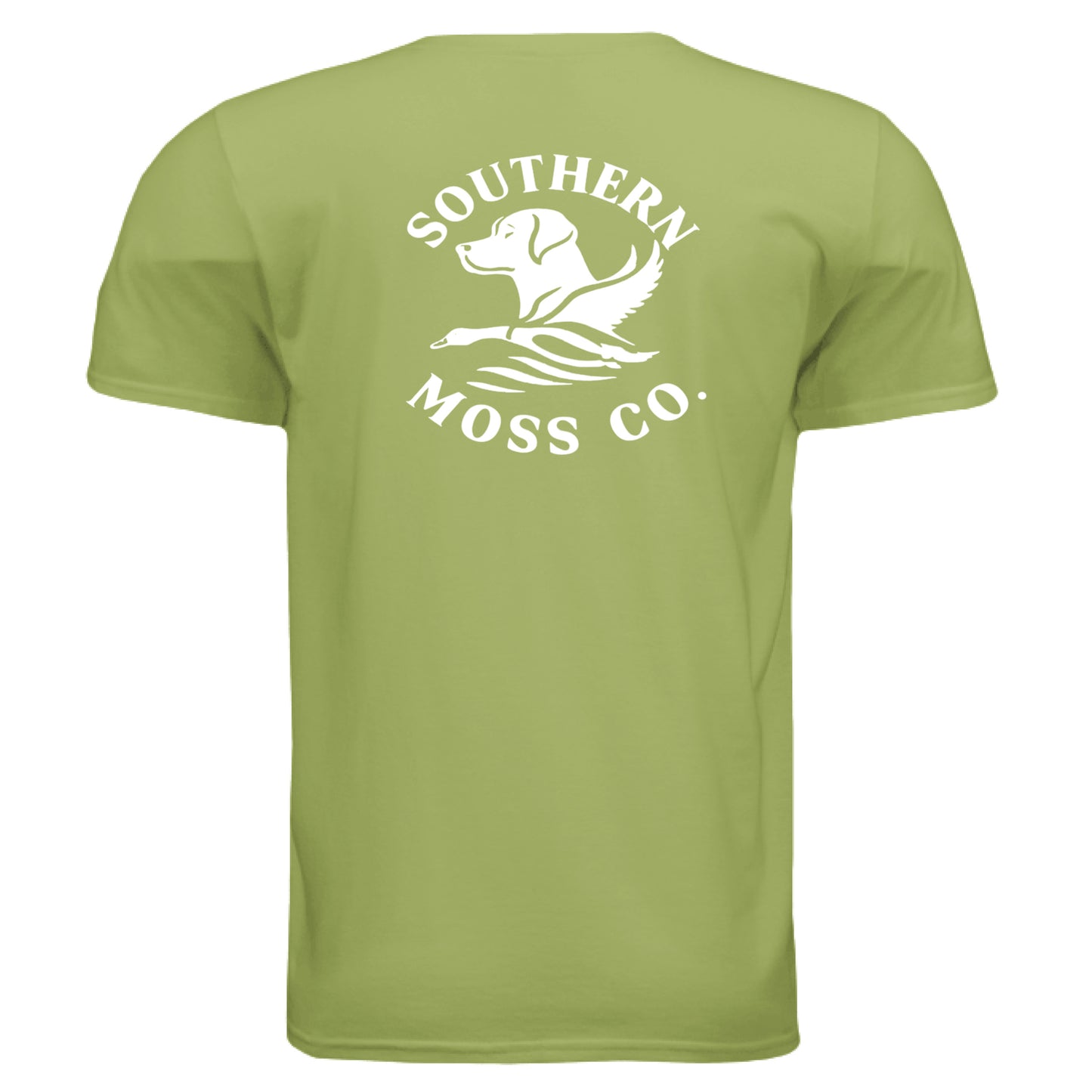 KIWI - BACK