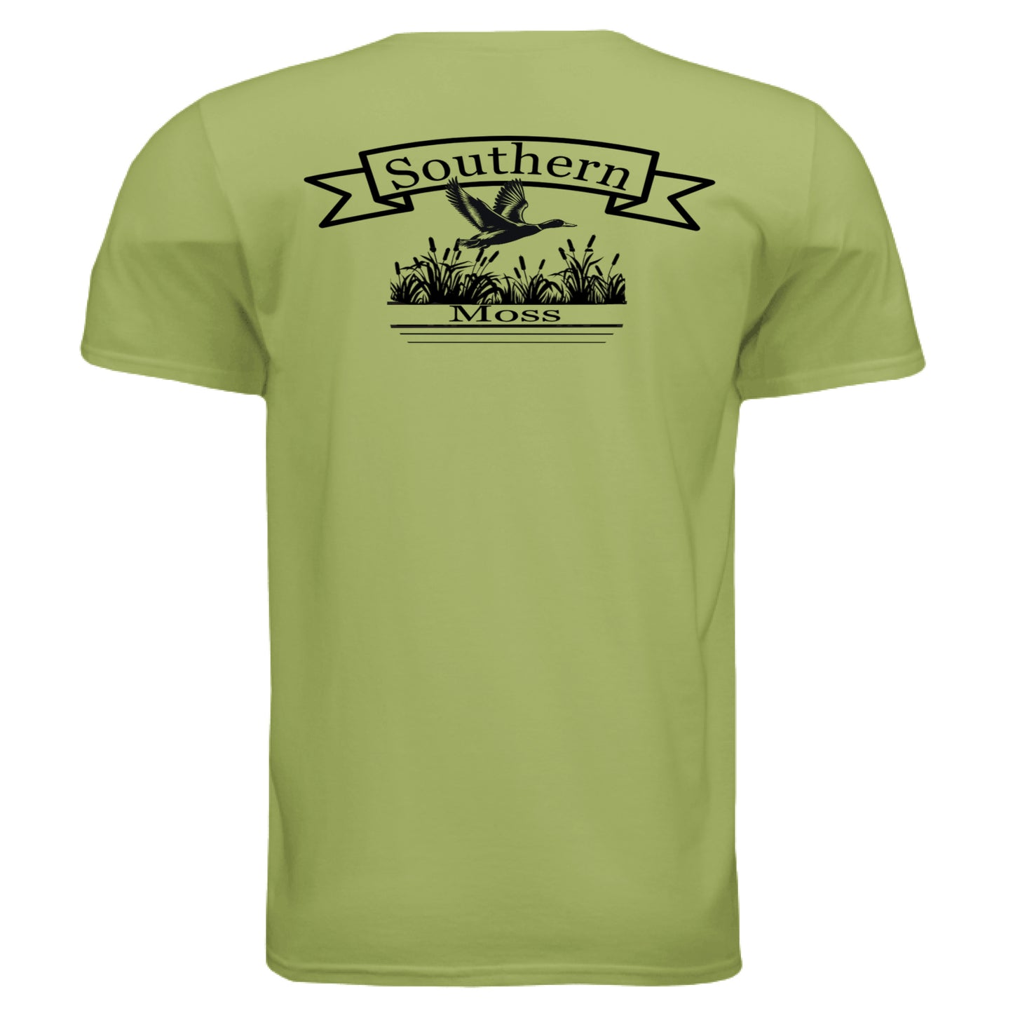 KIWI - BACK