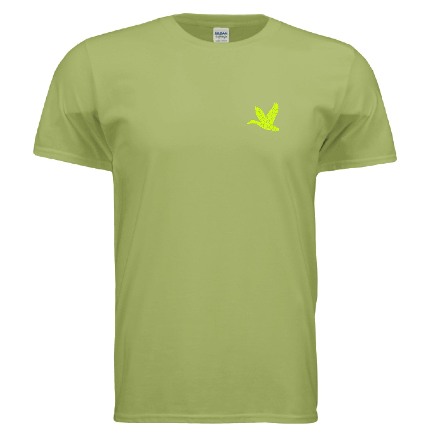 KIWI - FRONT
