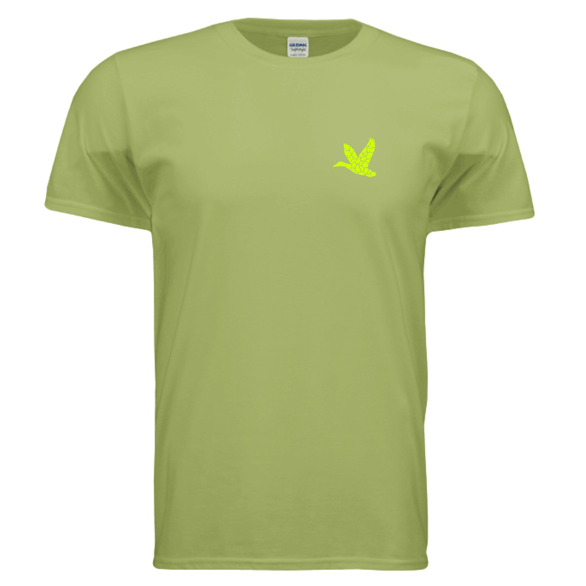 KIWI - FRONT