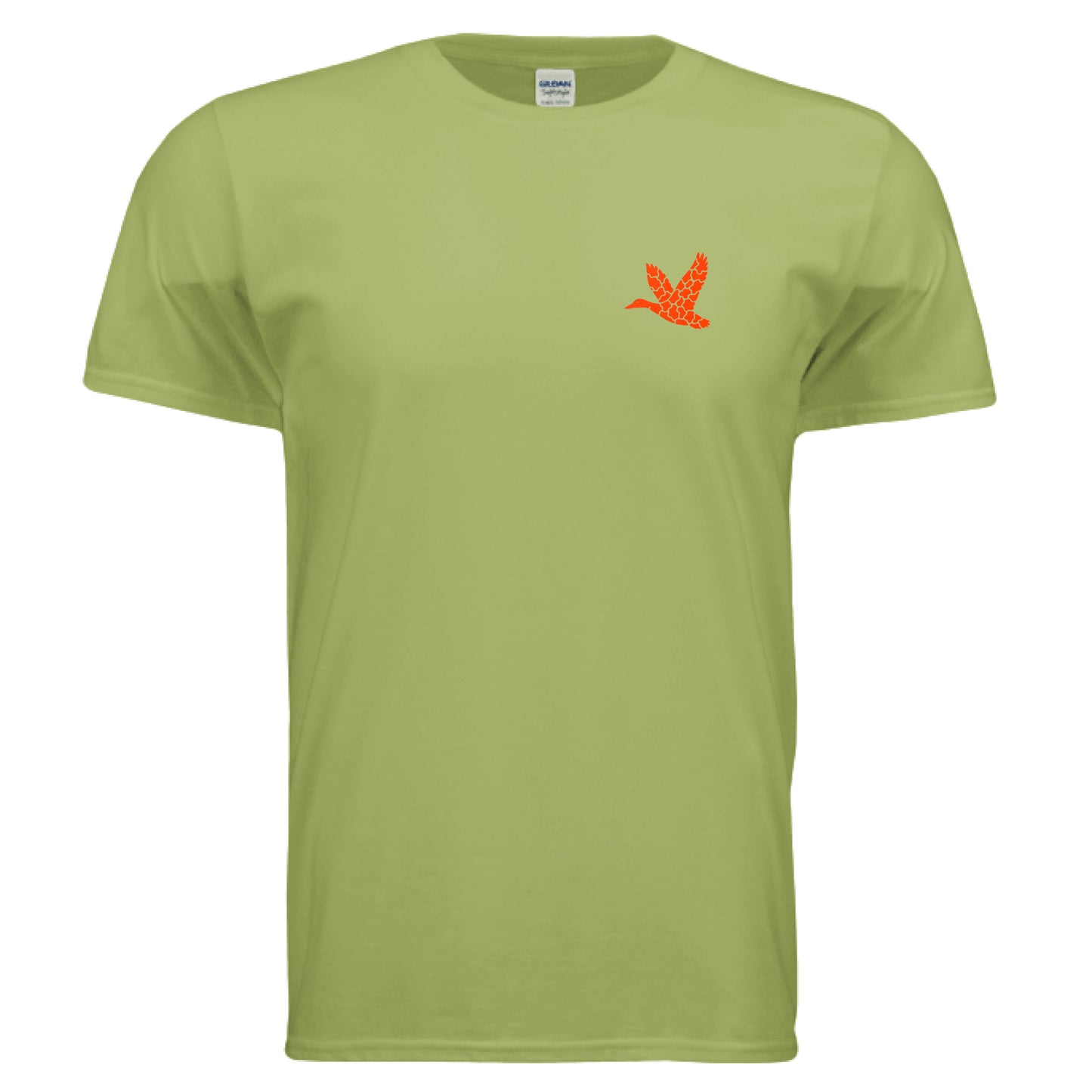 KIWI - FRONT
