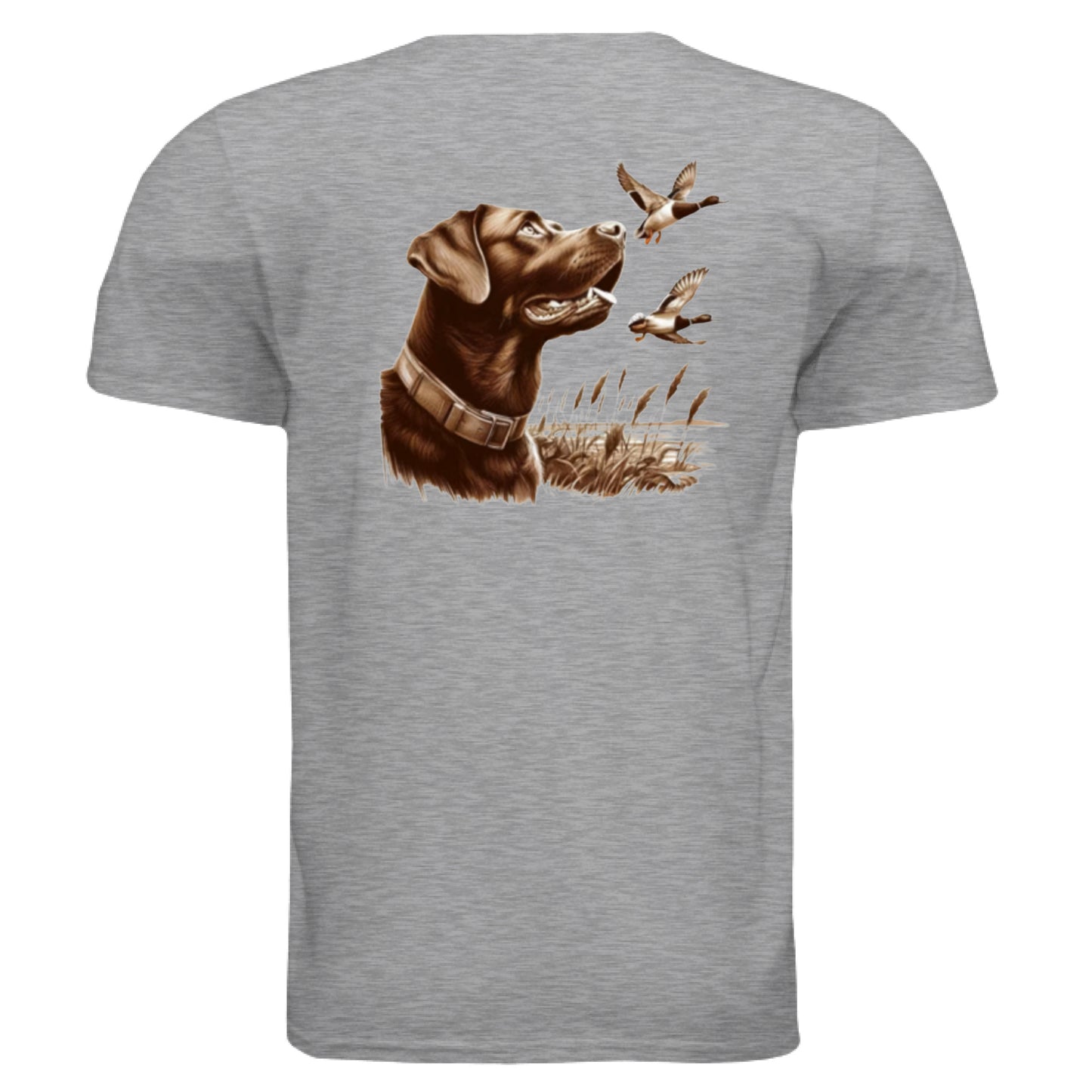 SPORT GREY - BACK
