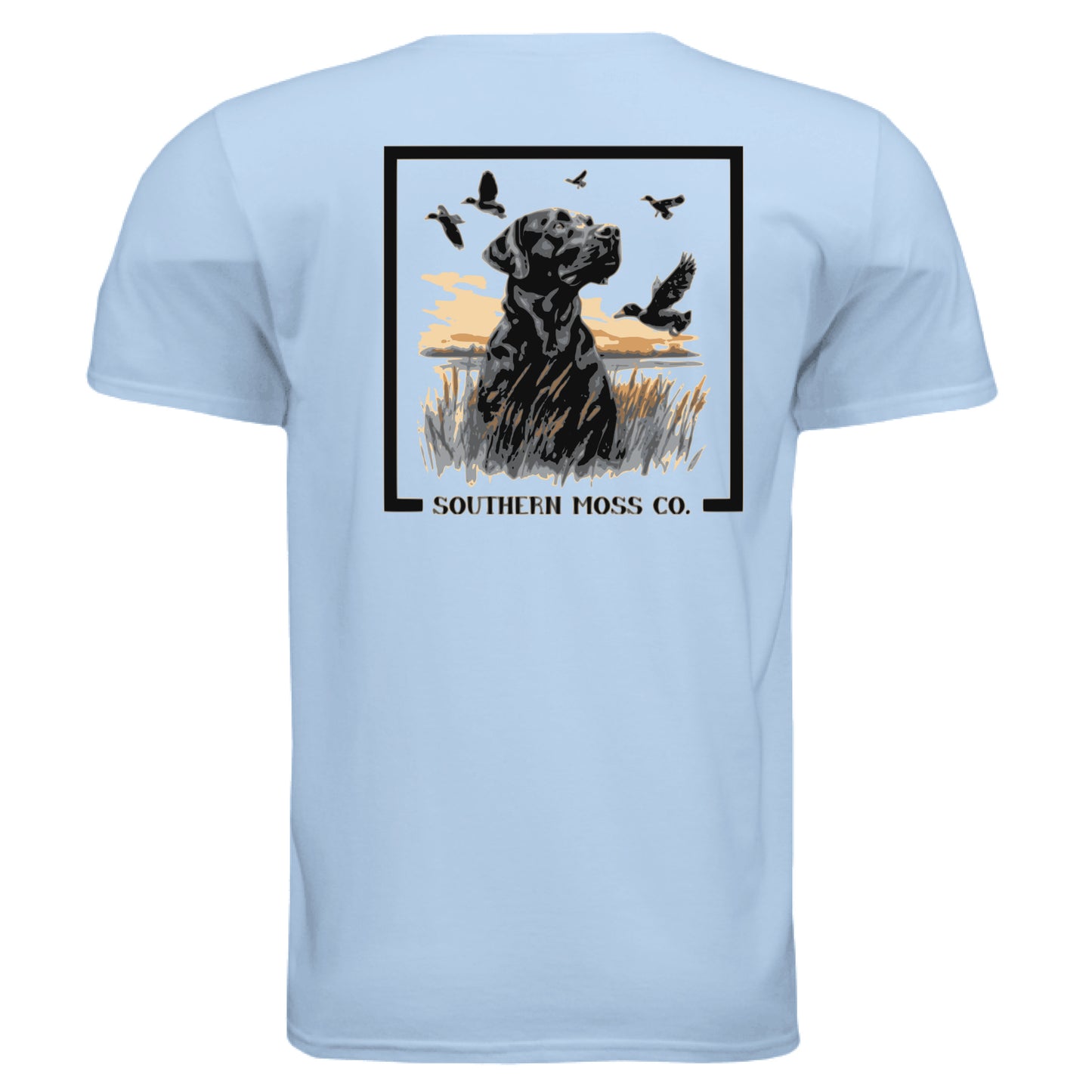 LIGHT BLUE - BACK