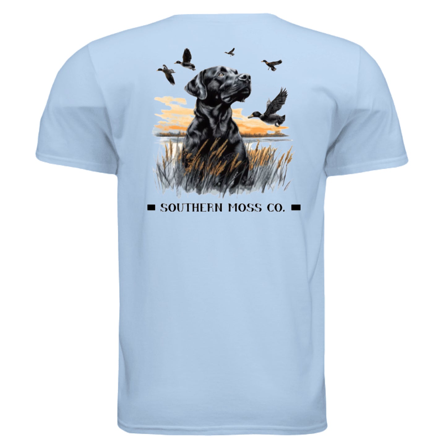 LIGHT BLUE - BACK