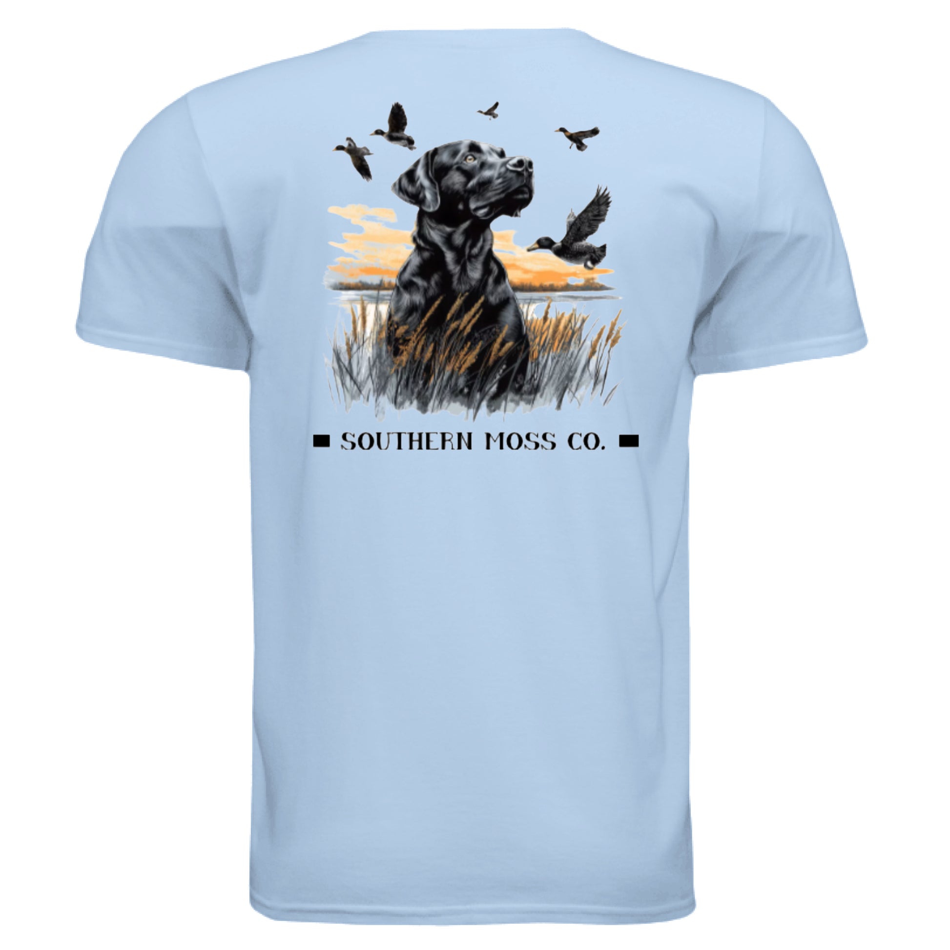 LIGHT BLUE - BACK