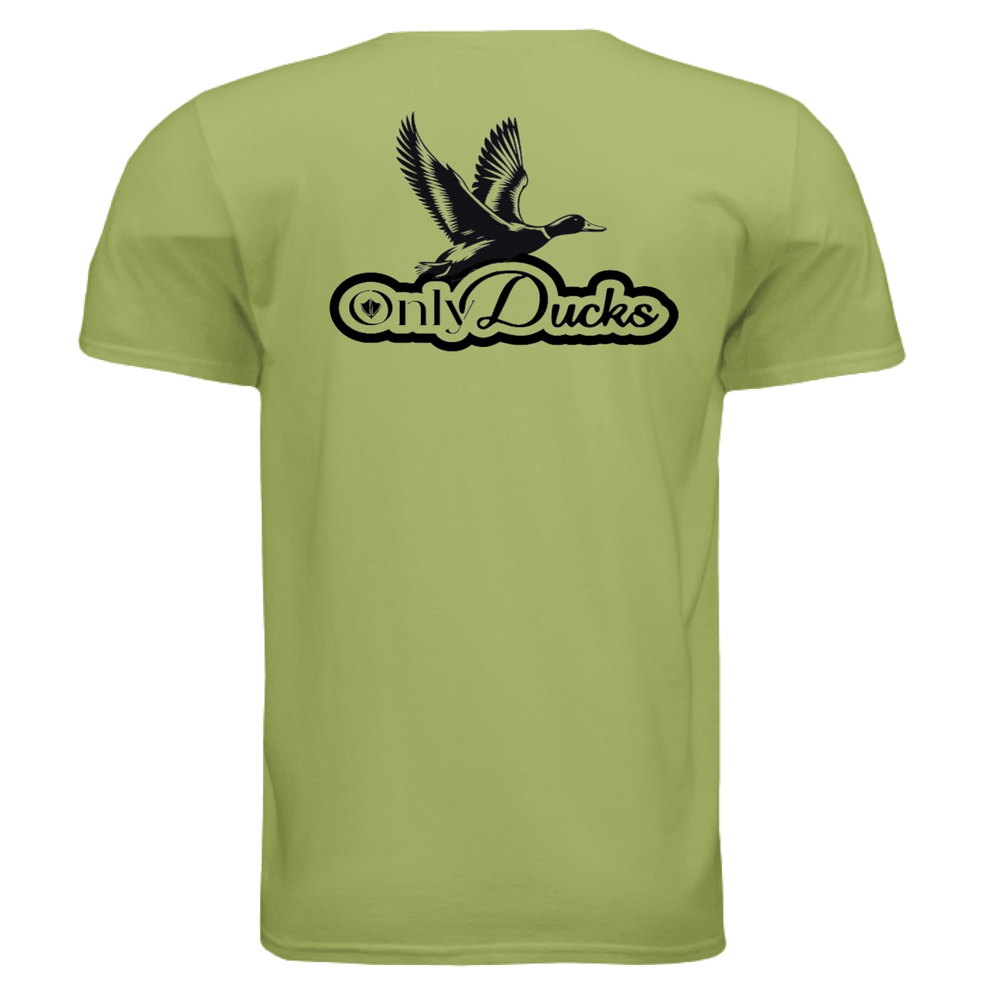 KIWI - BACK