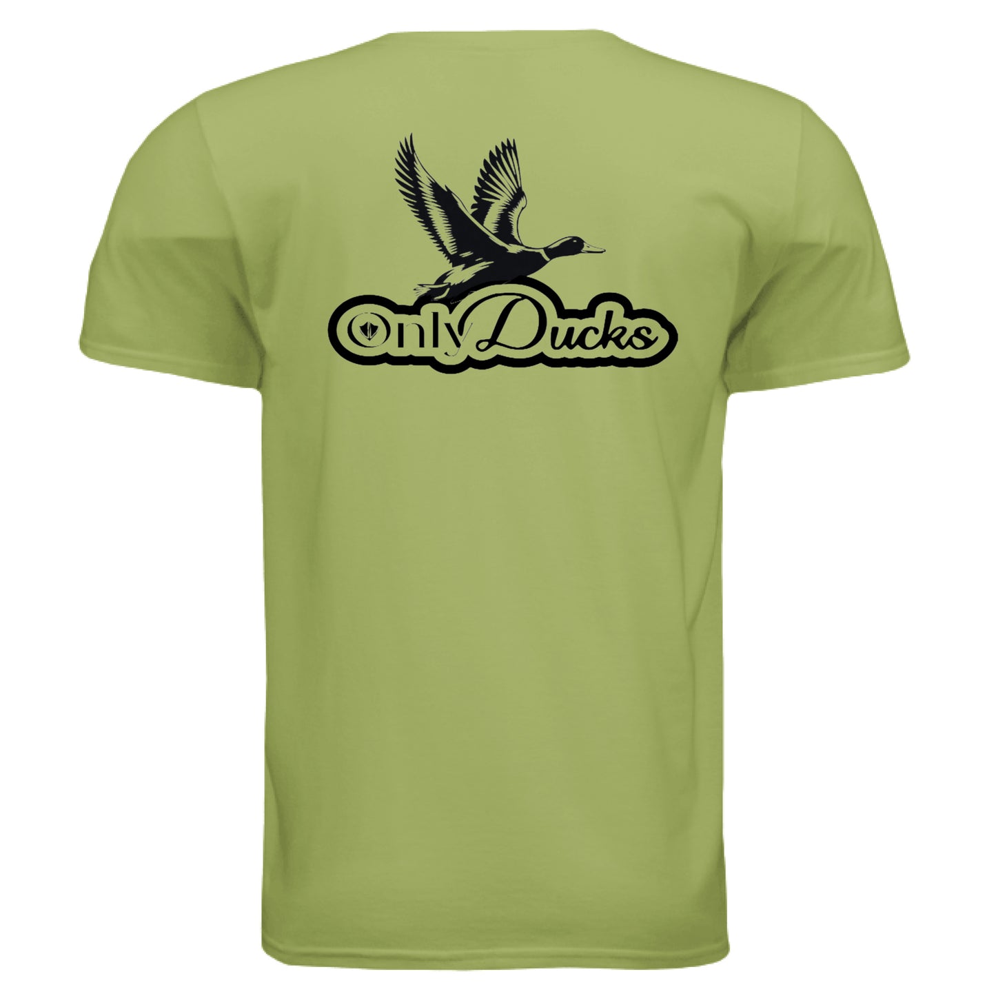 KIWI - BACK