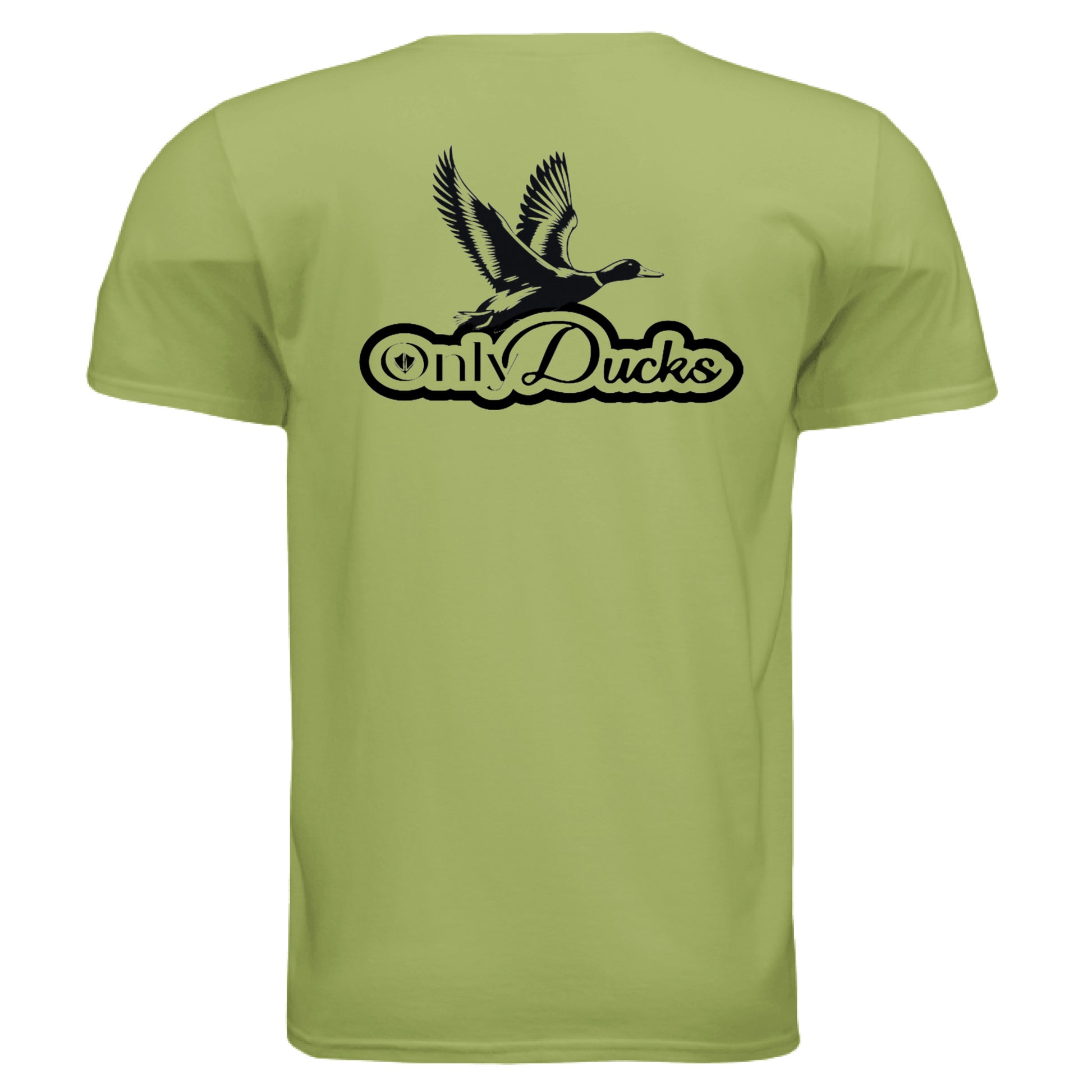 KIWI - BACK