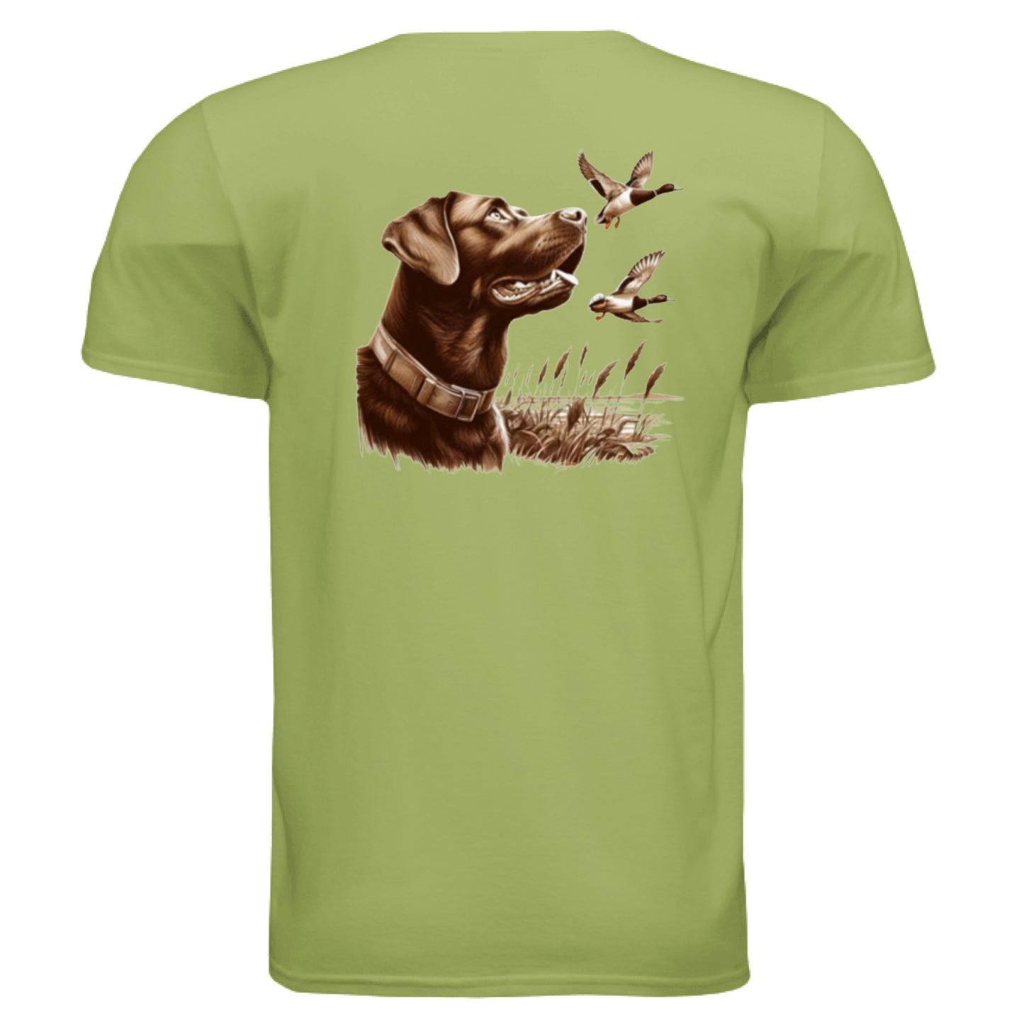 KIWI - BACK
